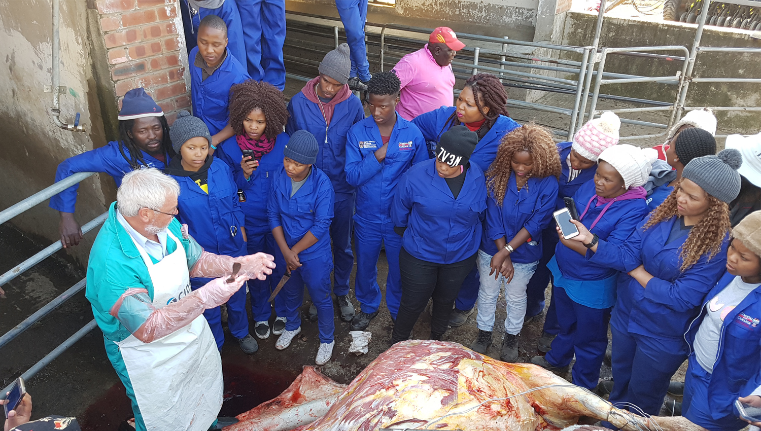 DAIRY FARMING PROJECTS